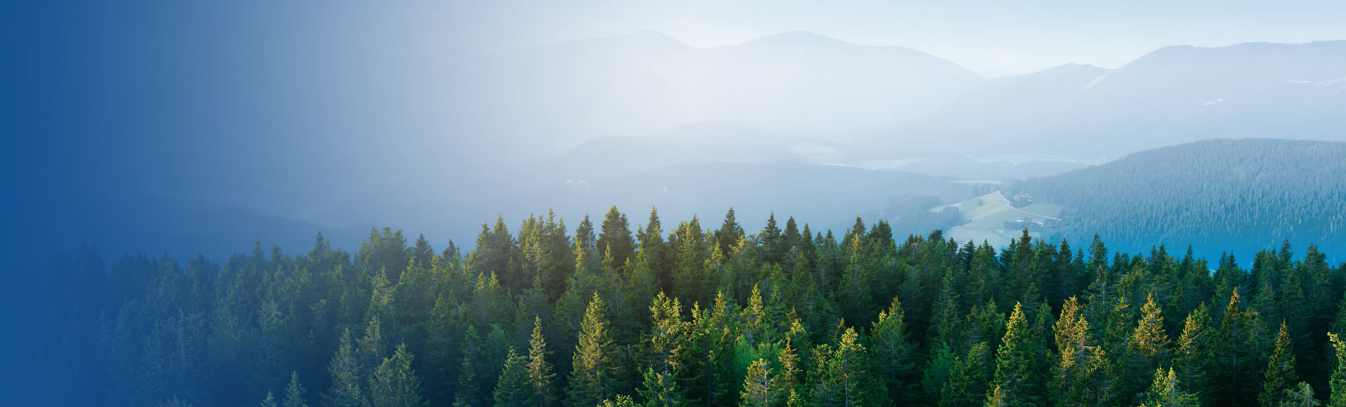 Sustainability